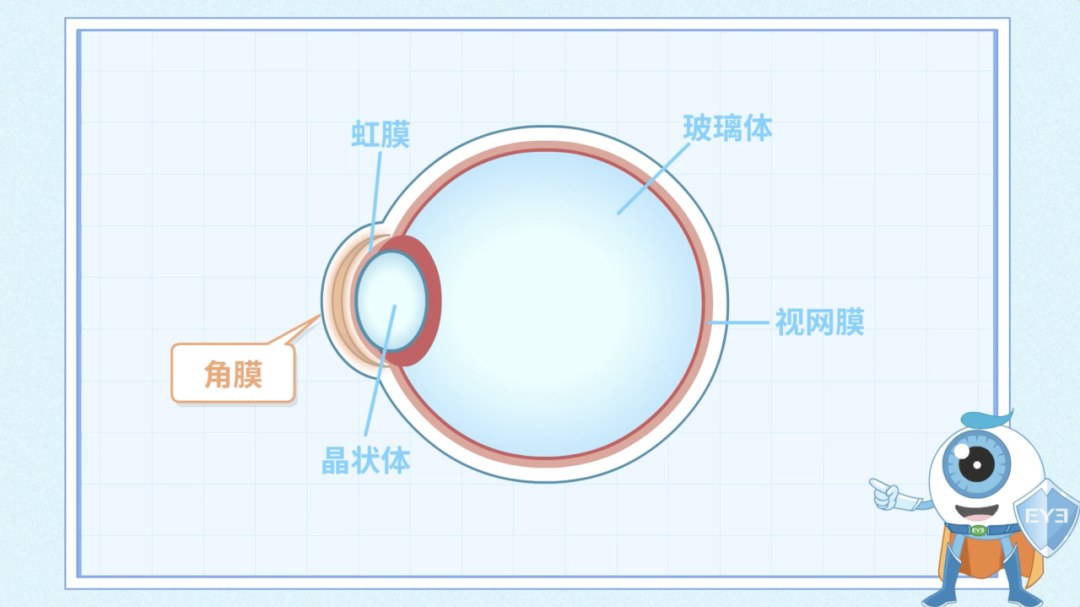 圖片.png 圖片.png